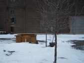 Enlarge photo 22