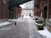 Enlarge photo 25