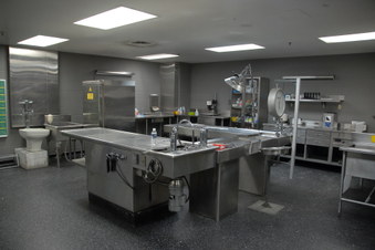 Back Up - Humber River Reg Hospital