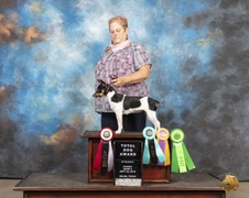 CH Angel Flight's Amelia Pond, BN, R1