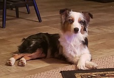 Scraps Meet Me @ Buc'ees w AF,  BN