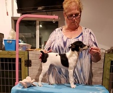 Cooper Pups - June 2019