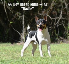 Bazile (GG's Boy Has No Name@AF)