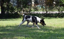 Enlarge photo 2