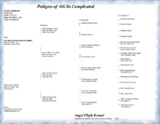 Enlarge PDF 4