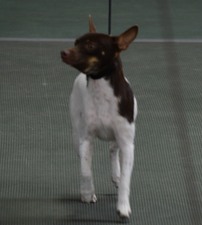 Cooper (CH GG's It's Complicated@ AF)