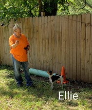 Enlarge photo 6