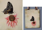 Enlarge photo 11