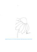 Enlarge PDF 3