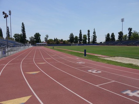 Enlarge photo 41