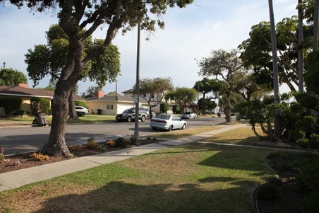 Enlarge photo 46