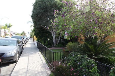 Enlarge photo 23
