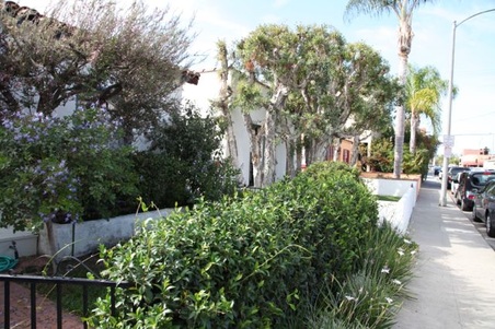 Enlarge photo 24