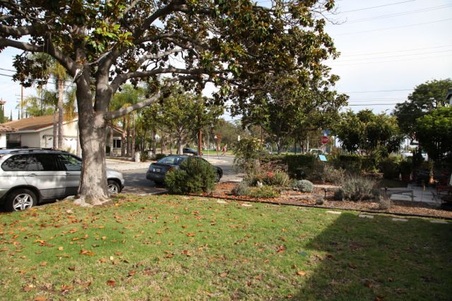 Enlarge photo 23