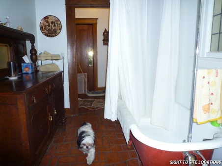 Enlarge photo 37