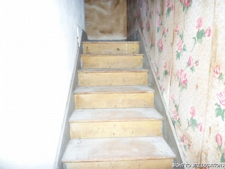 Enlarge photo 73