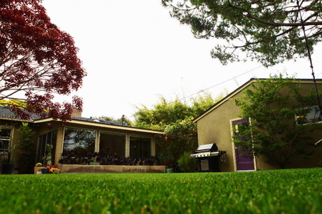 Enlarge photo 79