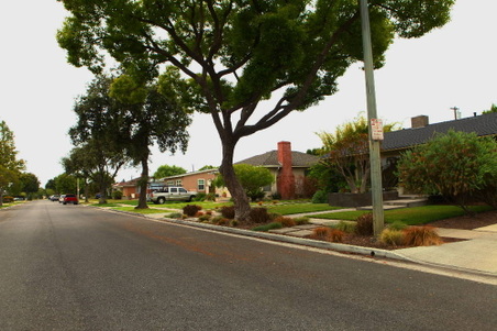 Enlarge photo 110