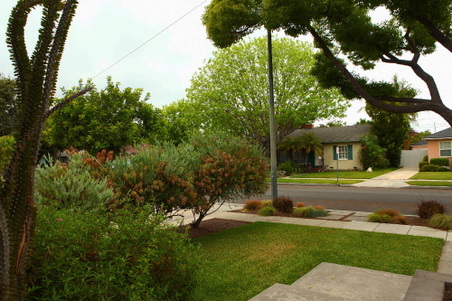 Enlarge photo 115