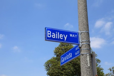 Bailey and Gaviota