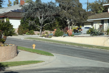 Enlarge photo 27