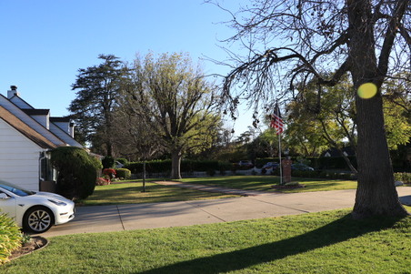 Enlarge photo 15
