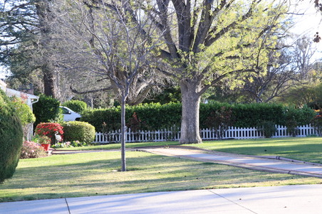 Enlarge photo 16