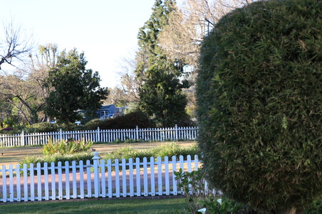 Enlarge photo 19