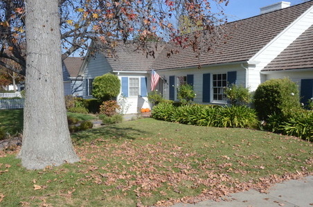 Enlarge photo 28