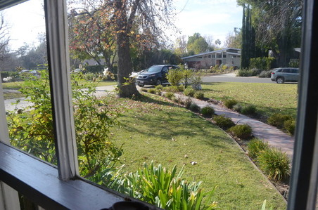 Enlarge photo 43