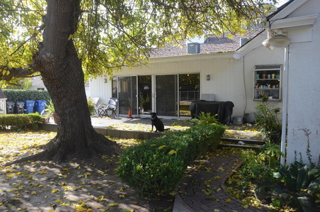 Enlarge photo 111