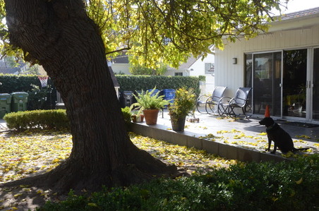 Enlarge photo 112