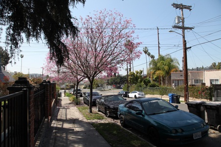 Enlarge photo 41
