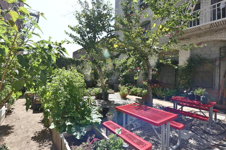 Enlarge photo 5