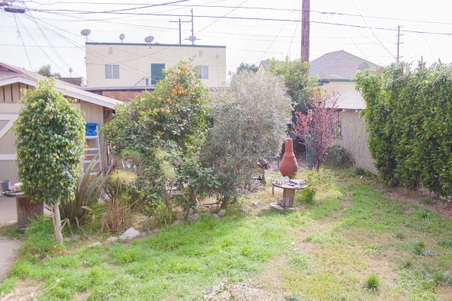 Enlarge photo 6