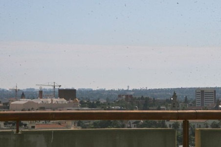 Enlarge photo 32