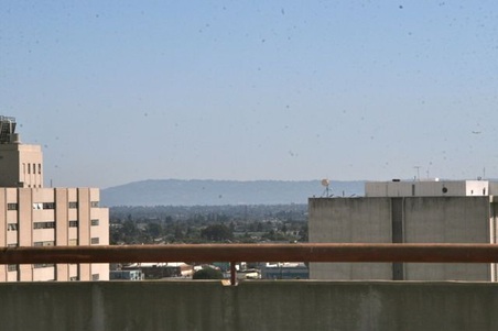 Enlarge photo 36