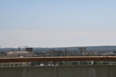 Enlarge photo 38