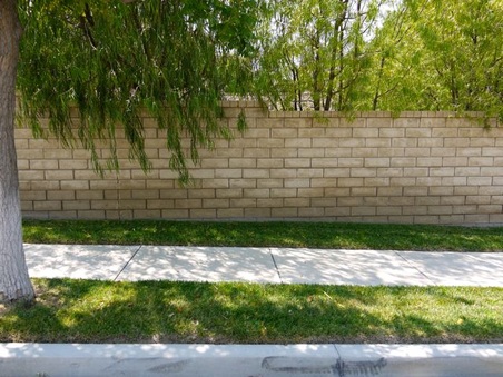 Enlarge photo 53