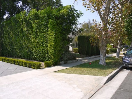 Enlarge photo 3