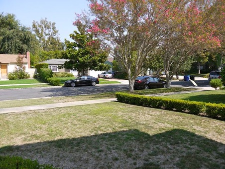 Enlarge photo 7