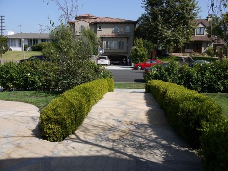 Enlarge photo 5
