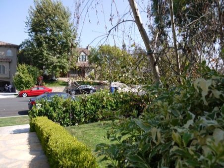 Enlarge photo 7