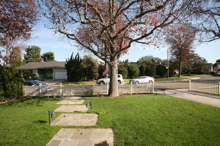 Enlarge photo 49