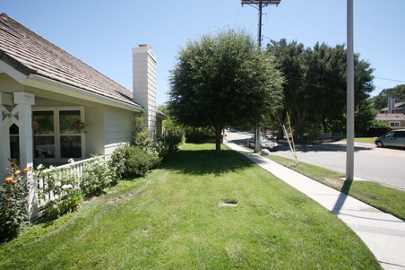 Enlarge photo 57