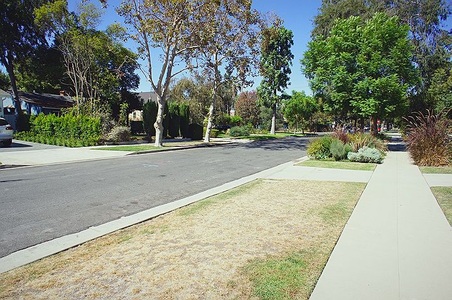 Enlarge photo 90