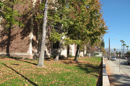 Enlarge photo 5