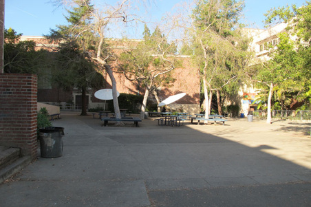 Enlarge photo 40