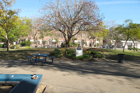 Enlarge photo 42