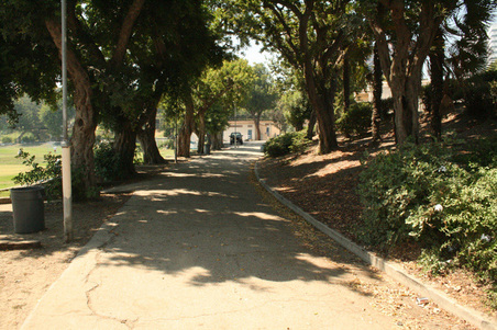 Enlarge photo 5
